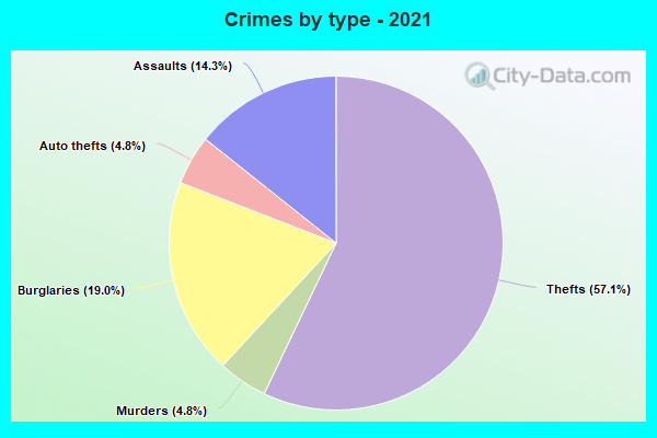 Crimes by type - 2021