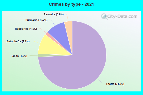 Crimes by type - 2021