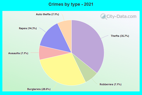 Crimes by type - 2021