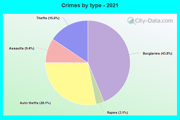 Crimes by type - 2021