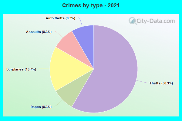 Crimes by type - 2021