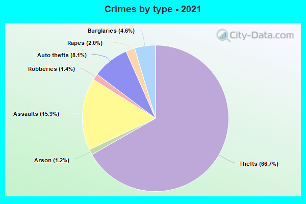 Crimes by type - 2021