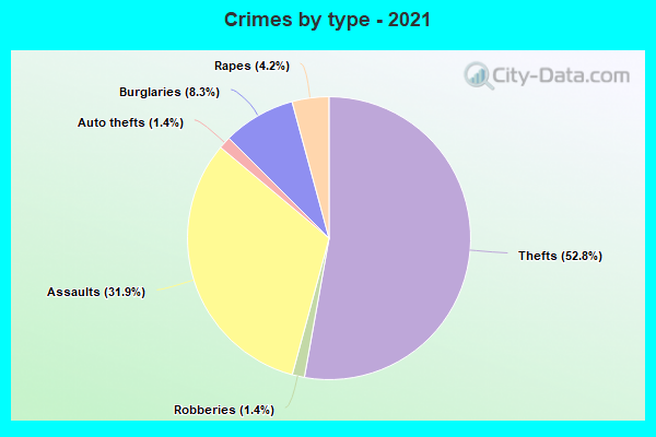 Crimes by type - 2021