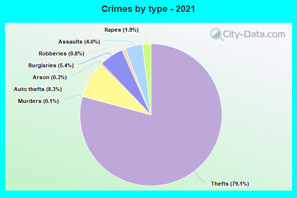 Crimes by type - 2021