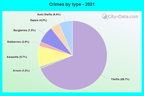 Crimes by type - 2021