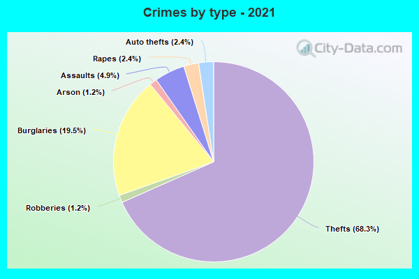 Crimes by type - 2021