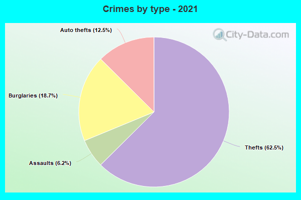 Crimes by type - 2021