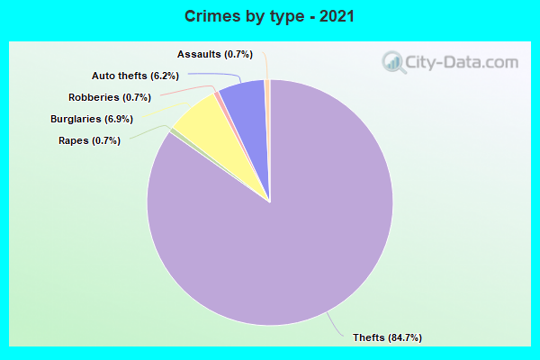 Crimes by type - 2021