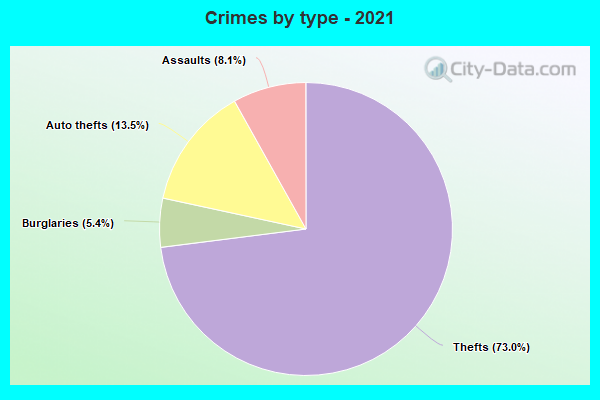 Crimes by type - 2021