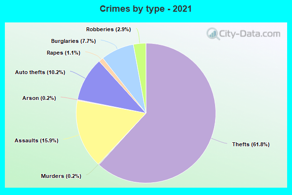 Crimes by type - 2021