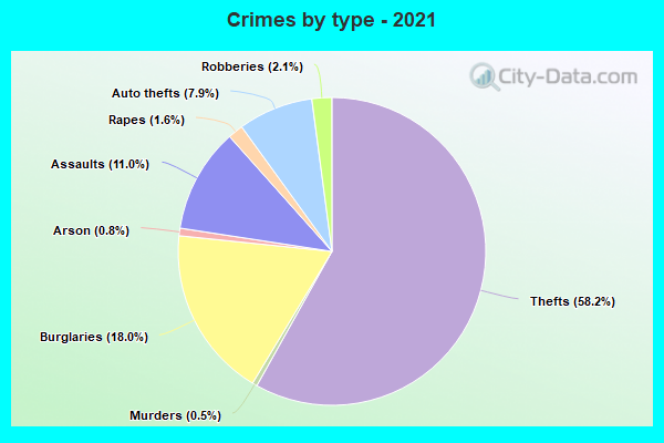 Crimes by type - 2021