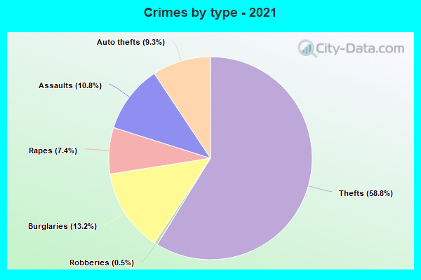 Crimes by type - 2021