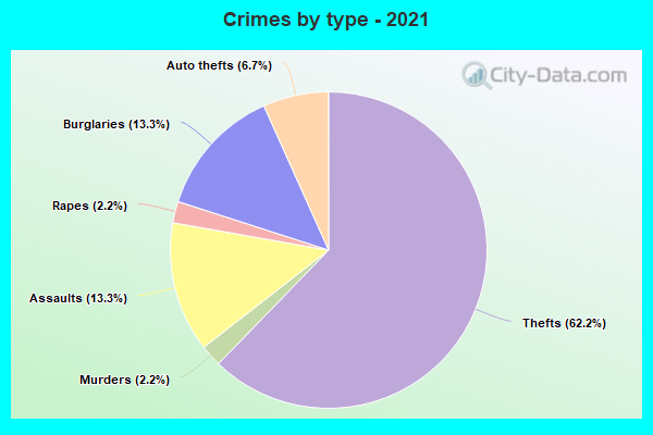 Crimes by type - 2021