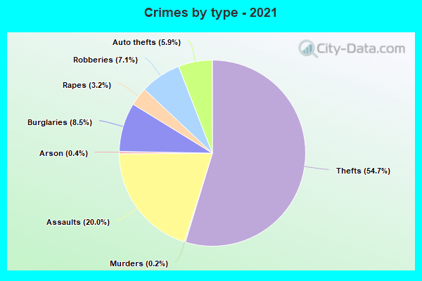 Crimes by type - 2021