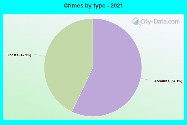 Crimes by type - 2021