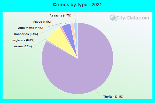 Crimes by type - 2021