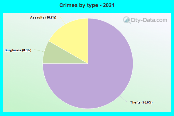 Crimes by type - 2021