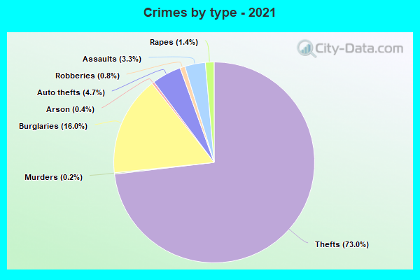 Crimes by type - 2021