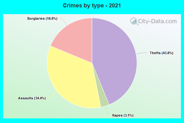 Crimes by type - 2021