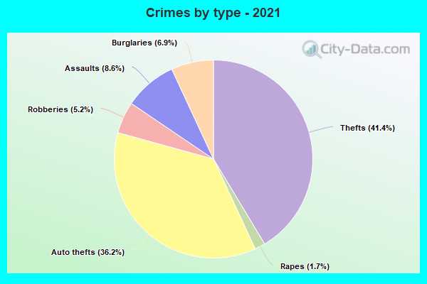 Crimes by type - 2021