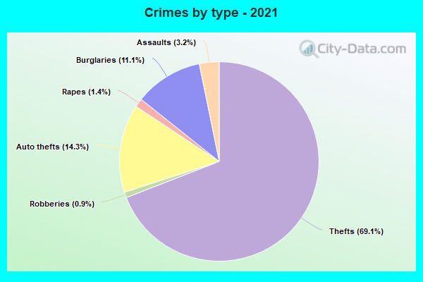 Crimes by type - 2021