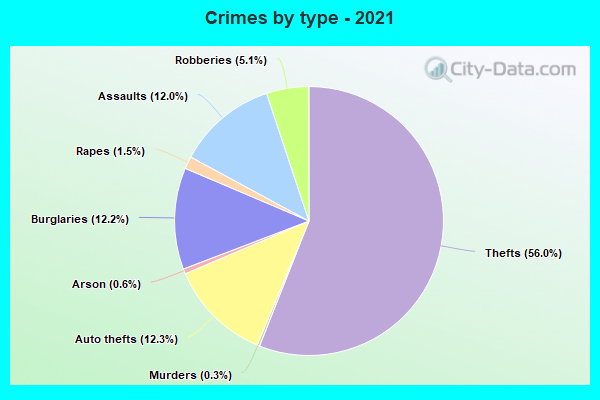 Crimes by type - 2021