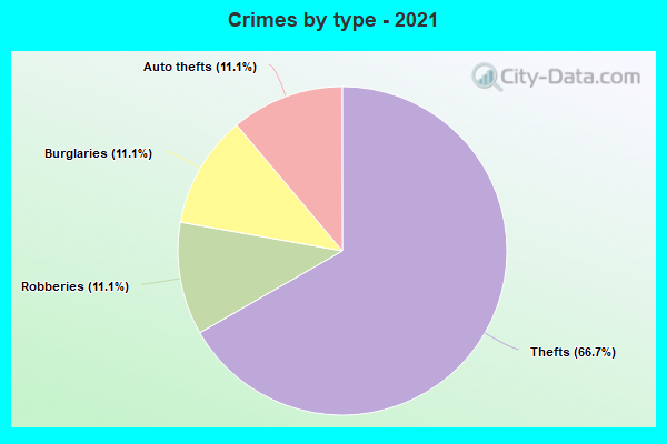 Crimes by type - 2021