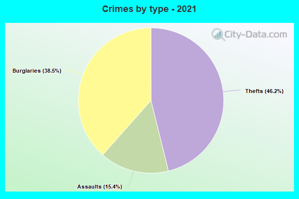 Crimes by type - 2021