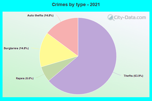 Crimes by type - 2021