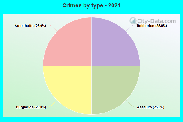 Crimes by type - 2021