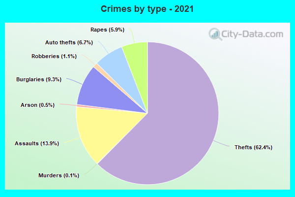 Crimes by type - 2021