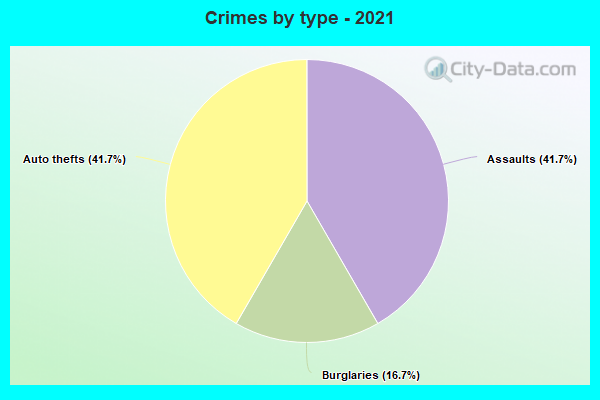 Crimes by type - 2021