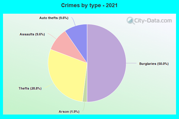 Crimes by type - 2021