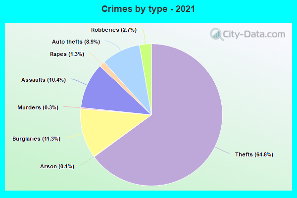 Crimes by type - 2021