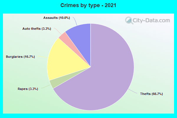 Crimes by type - 2021