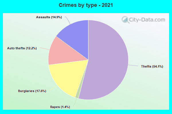 Crimes by type - 2021