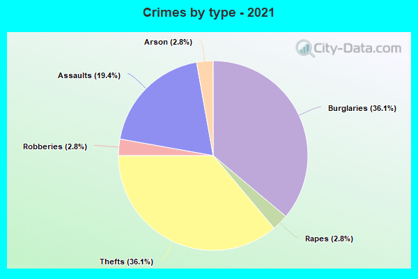 Crimes by type - 2021