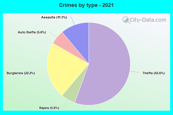 Crimes by type - 2021