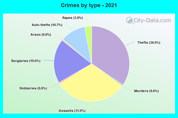 Crimes by type - 2021