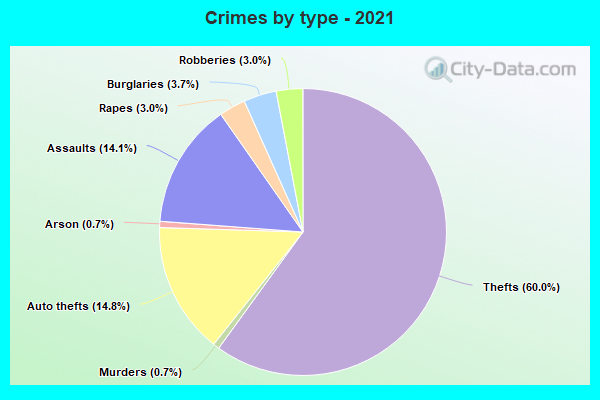 Crimes by type - 2021