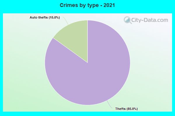 Crimes by type - 2021