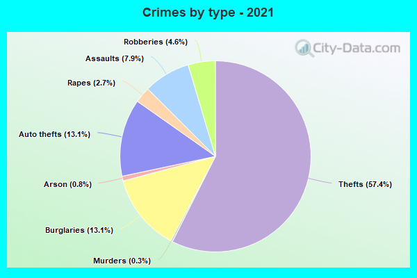 Crimes by type - 2021