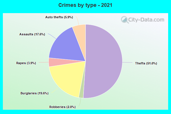 Crimes by type - 2021