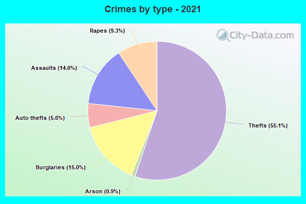 Crimes by type - 2021