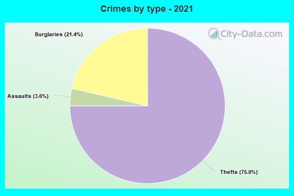 Crimes by type - 2021