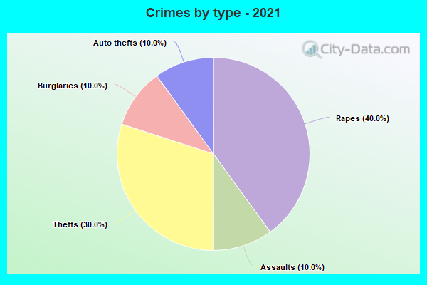 Crimes by type - 2021