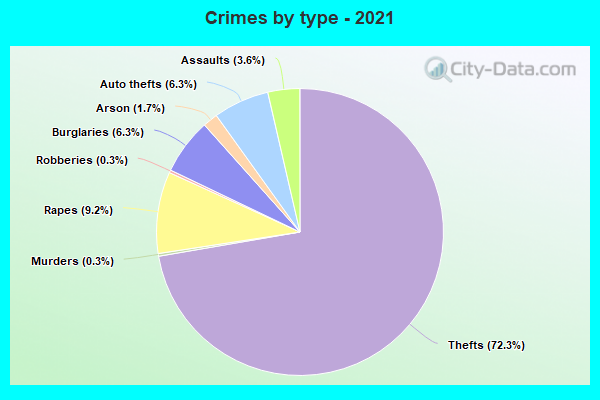 Crimes by type - 2021