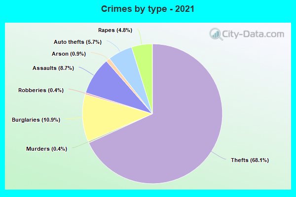 Crimes by type - 2021