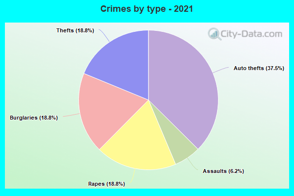 Crimes by type - 2021