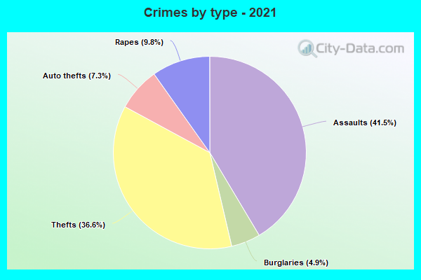 Crimes by type - 2021